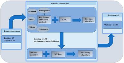 XGEM: Predicting Essential miRNAs by the Ensembles of Various Sequence-Based Classifiers With XGBoost Algorithm